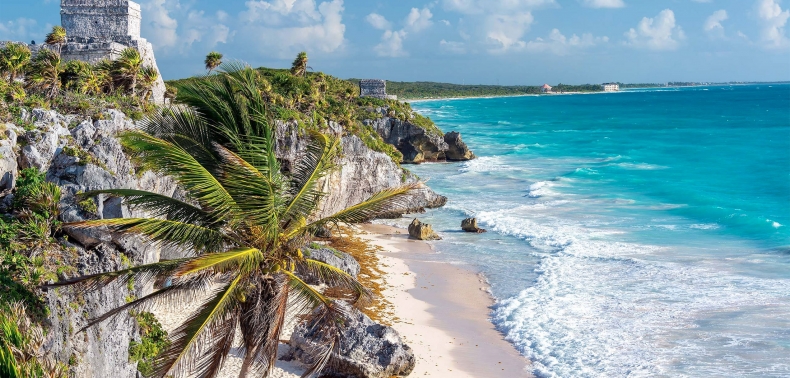 Celebrity - Healthy At Sea